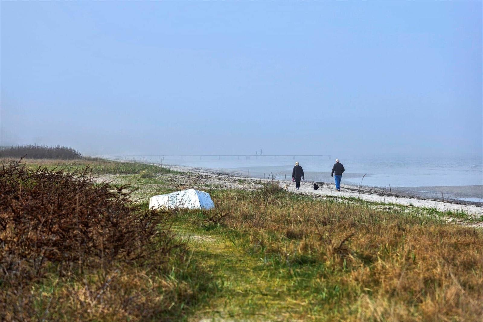 Two people walk with a dog along the beach. A pier is visible in the background.