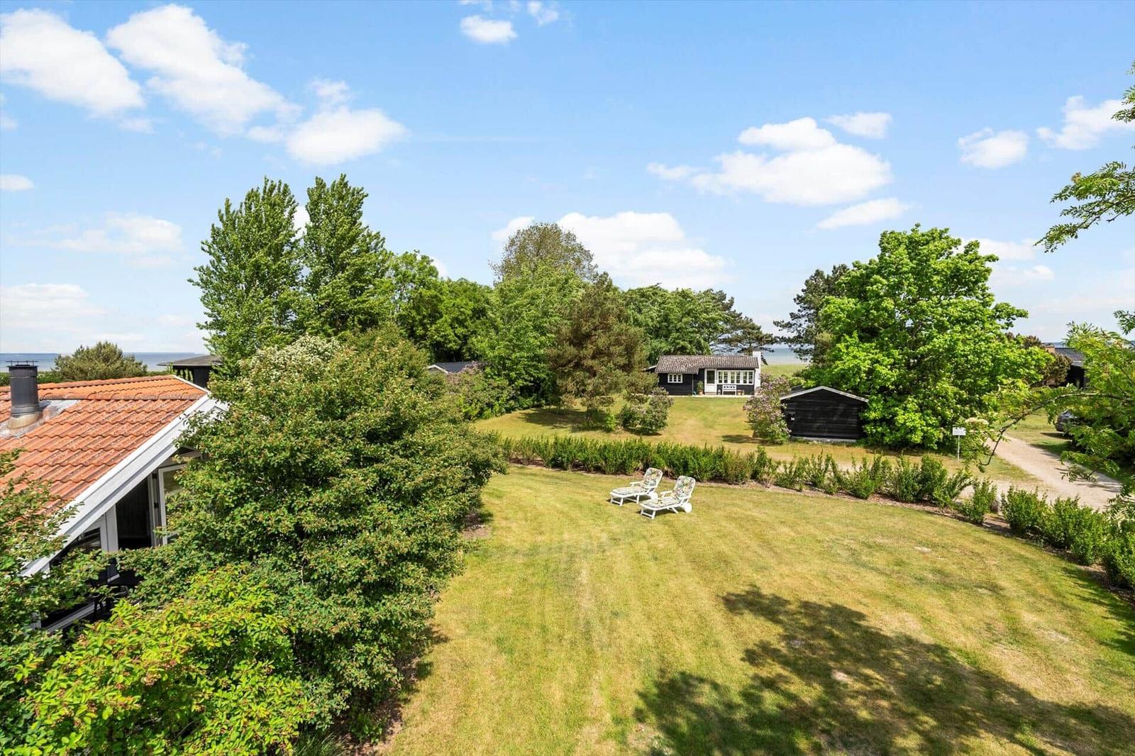 Grüner Garten mit Liegestühlen, umgeben von Bäumen und Häusern unter blauem Himmel.