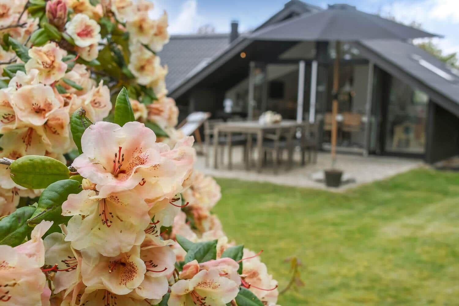 Vor dem Haus blühen rosa Blumen. Im Hintergrund ist eine Terrasse mit Tisch und Stühlen zu sehen.