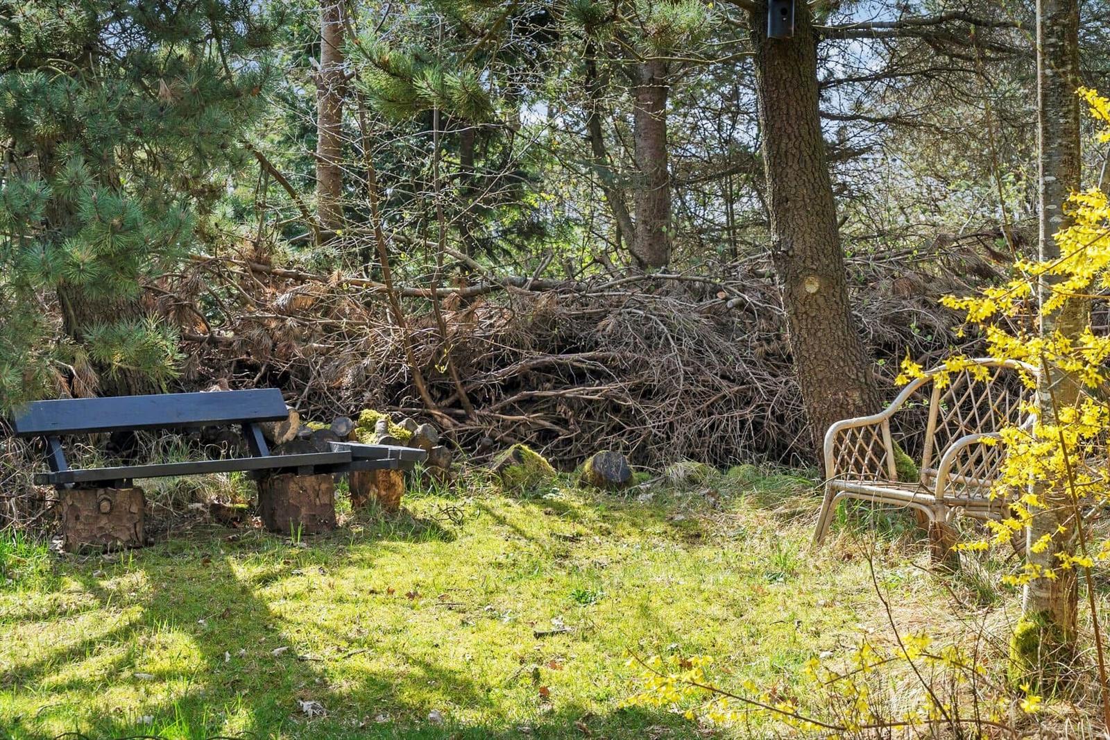 Zwei Bänke im Wald: eine dunkle Bank auf Baumstümpfen, eine helle Rattanbank neben gelben Blättern.
