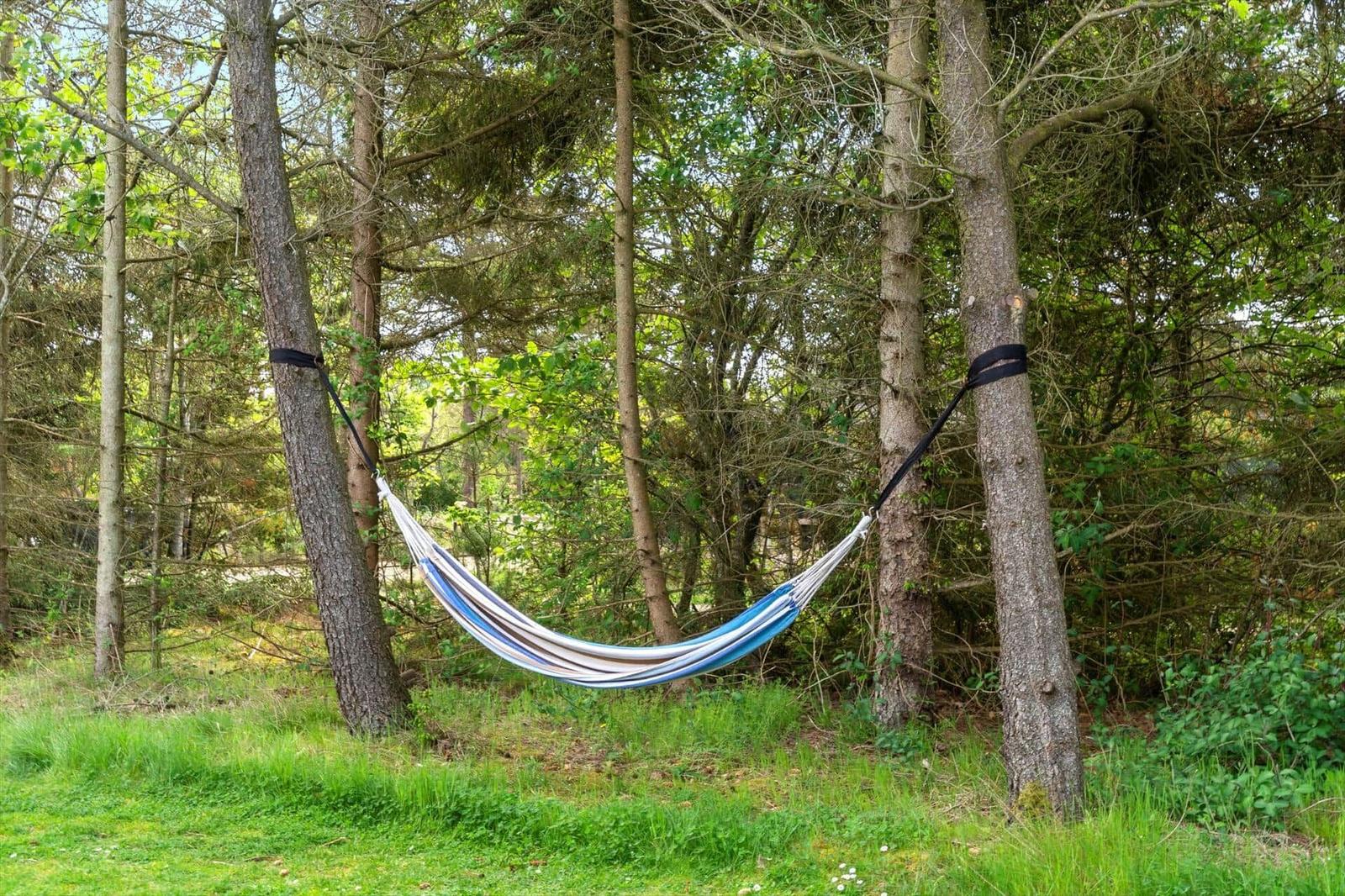 Ein blaues und weißes Hängemattengarn hängt zwischen zwei Bäumen im Wald.