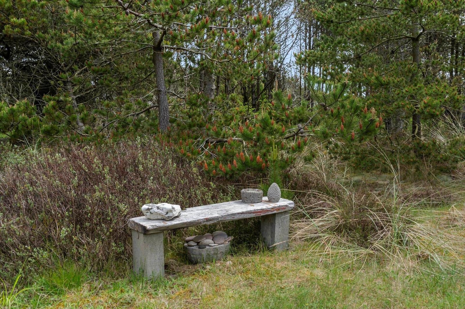 Holzbank im Wald mit Stein und Kiefernzapfen
