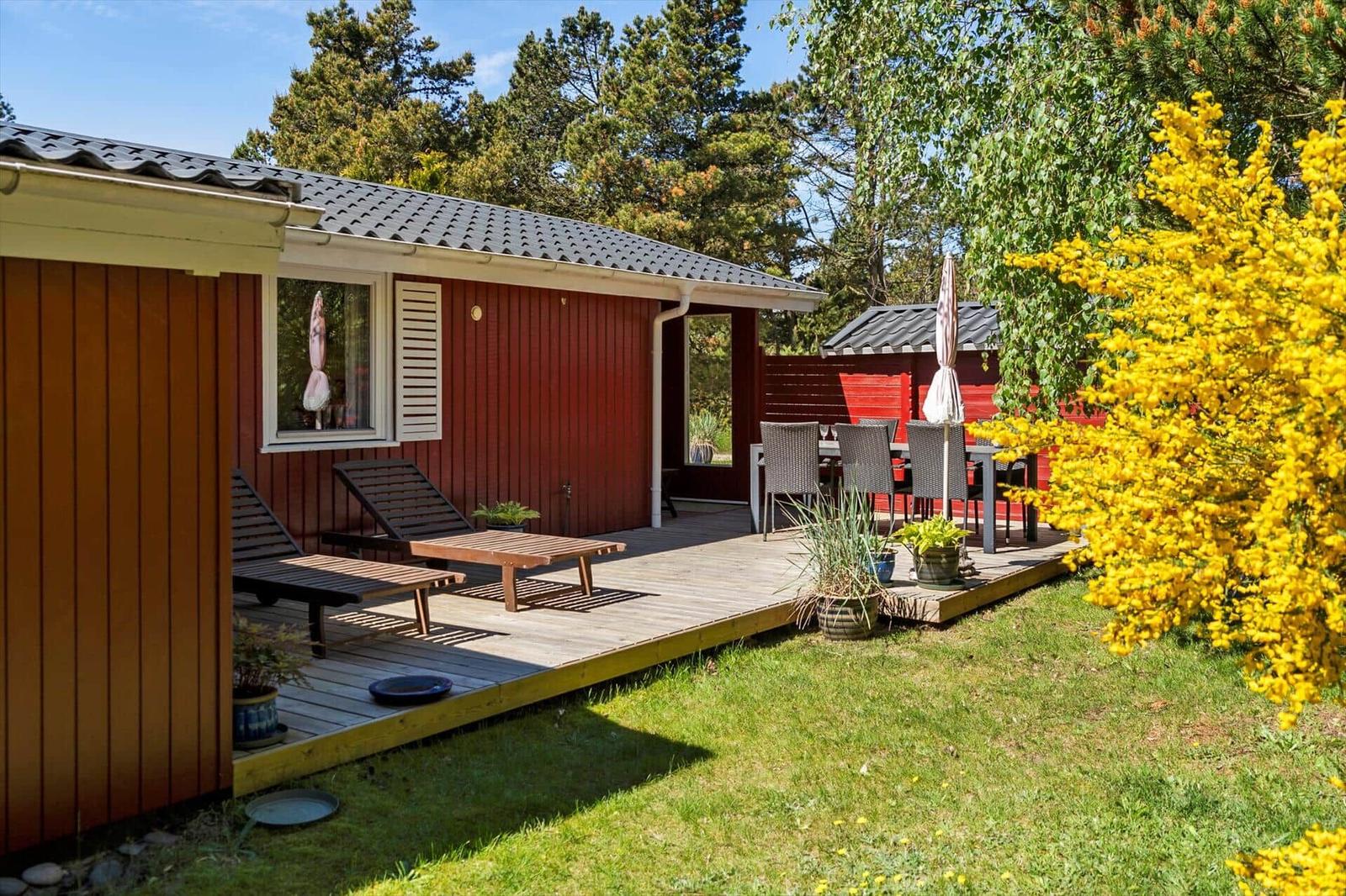 Roter Holzschuppen mit Terrasse, Sonnenliegen und Gartenmöbeln. Gelber Strauch im Vordergrund.