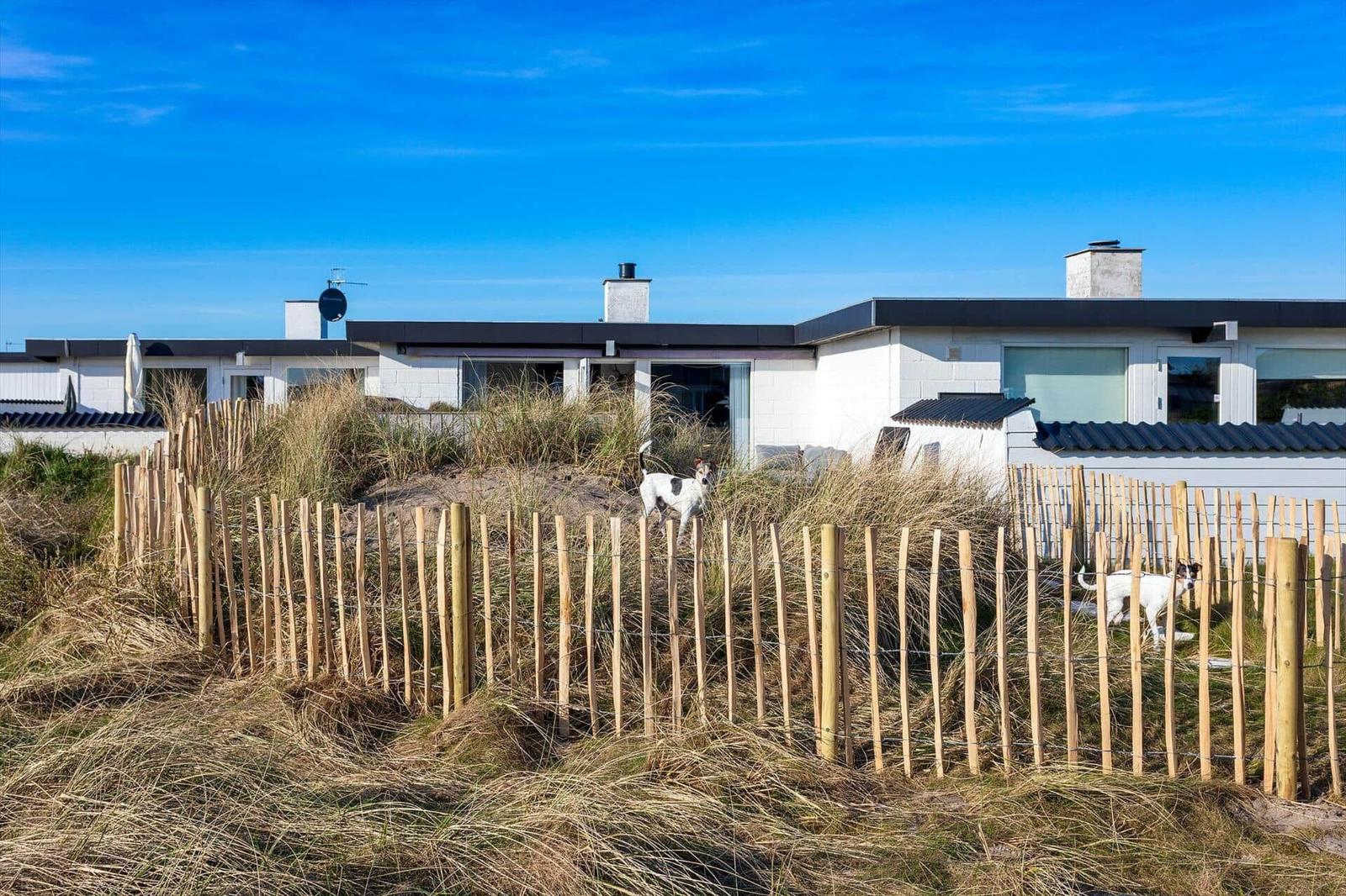 Moderne Strandvilla mit zwei Hunden hinter einem Holzzaun.