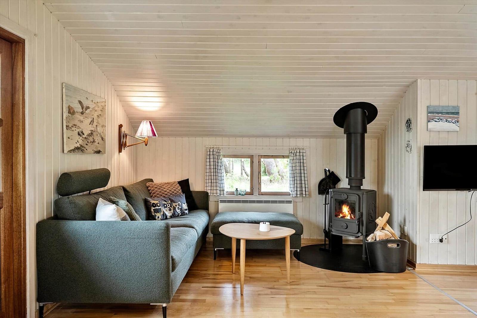 Living room with sofa, wood stove, and hardwood floor. A TV is mounted on the wall.