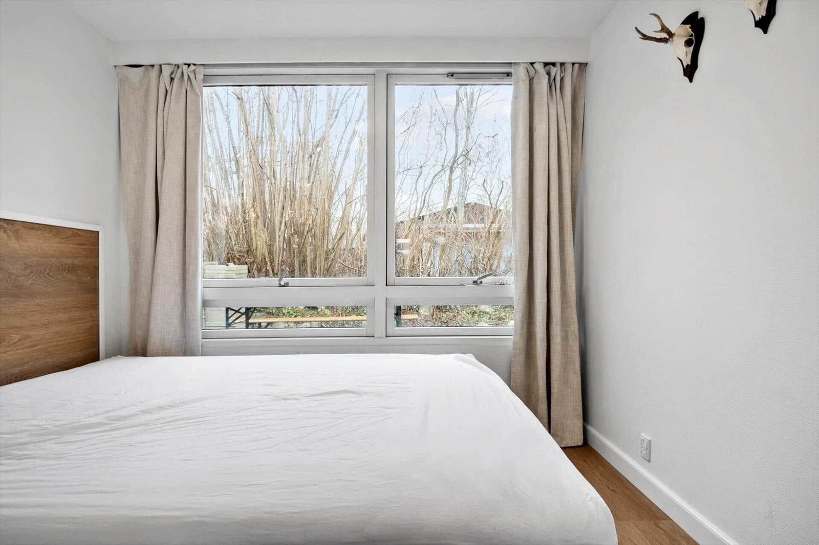 Schlafzimmer mit Bett, Fenster und Vorhängen. Wanddekoration mit Hirschgeweih.