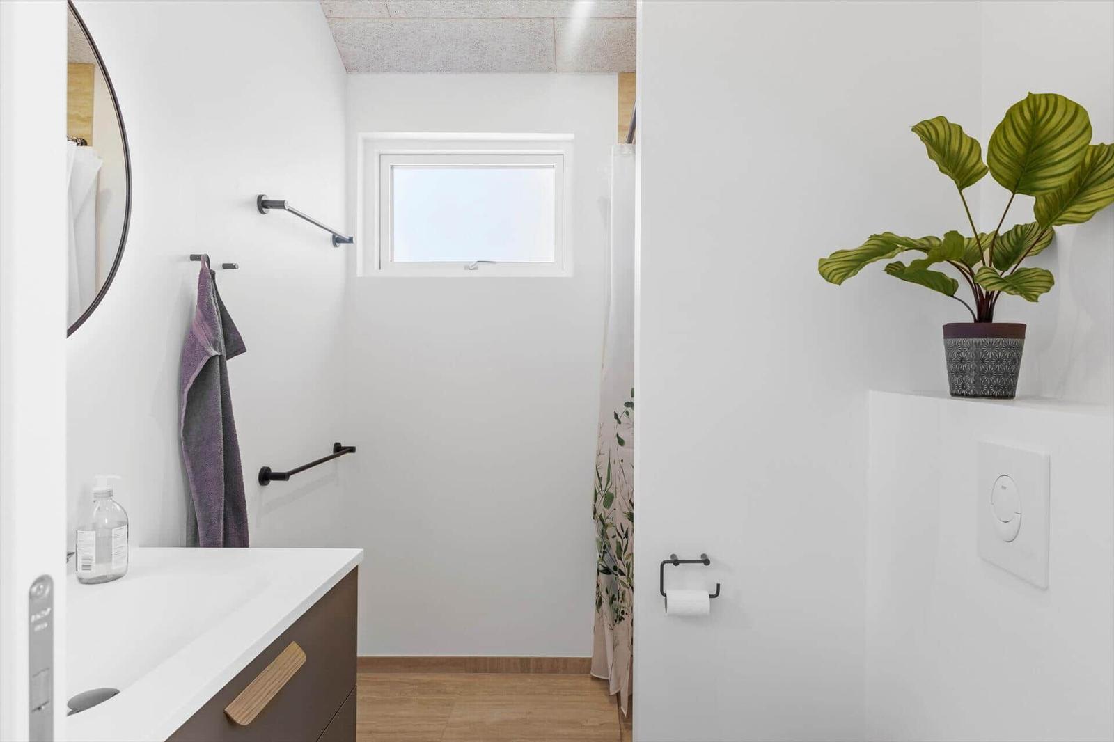 Badezimmer mit Waschbecken, Dusche und Pflanze. Fenster sorgt für Tageslicht.