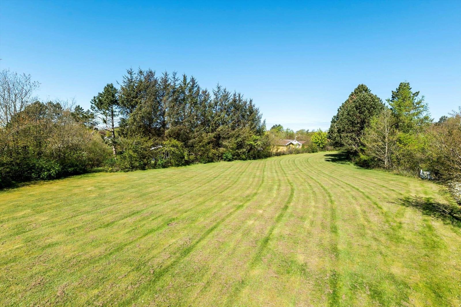 Large mowed lawn with trees and clear blue sky in the background.