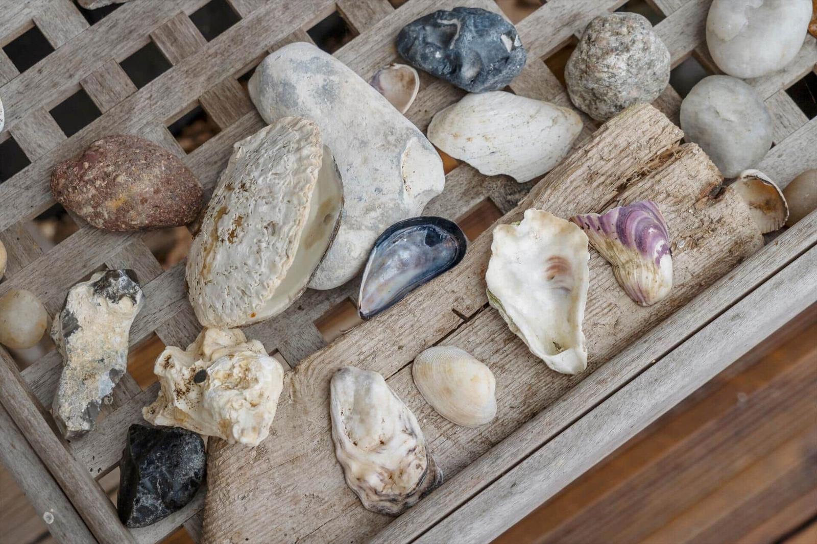 Various shells and stones on a wooden tray.