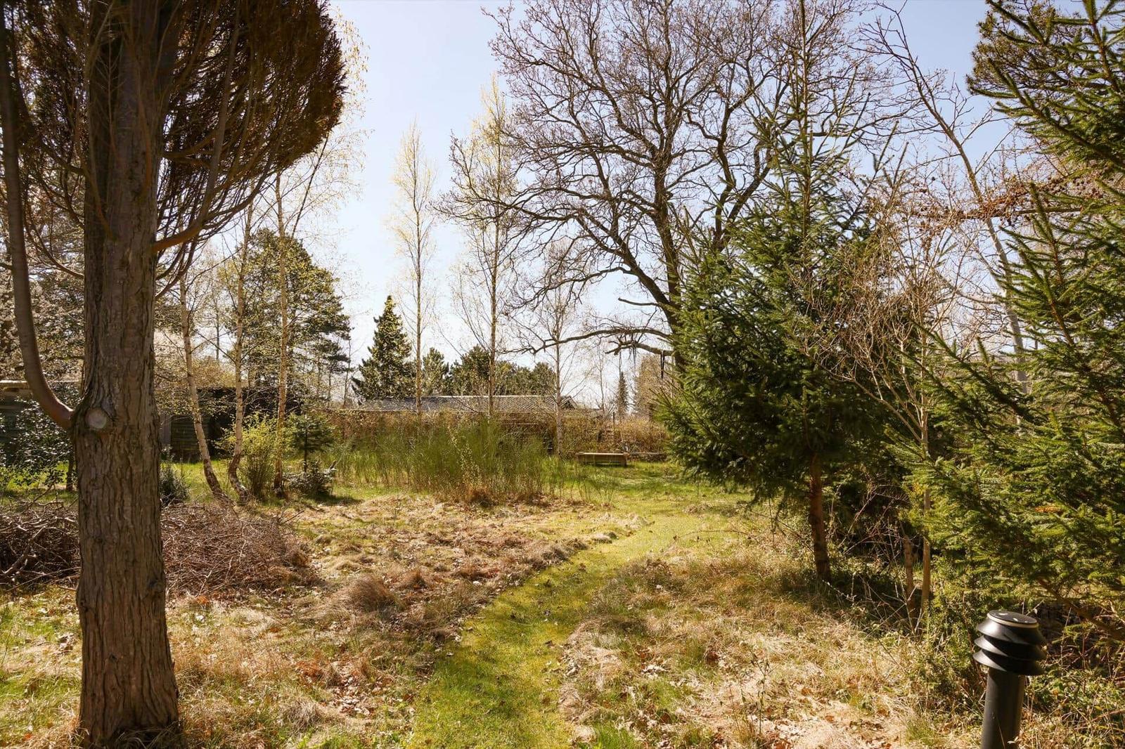 Grüner Gartenweg zwischen Bäumen und Sträuchern mit Blick auf einen Zaun im Hintergrund.