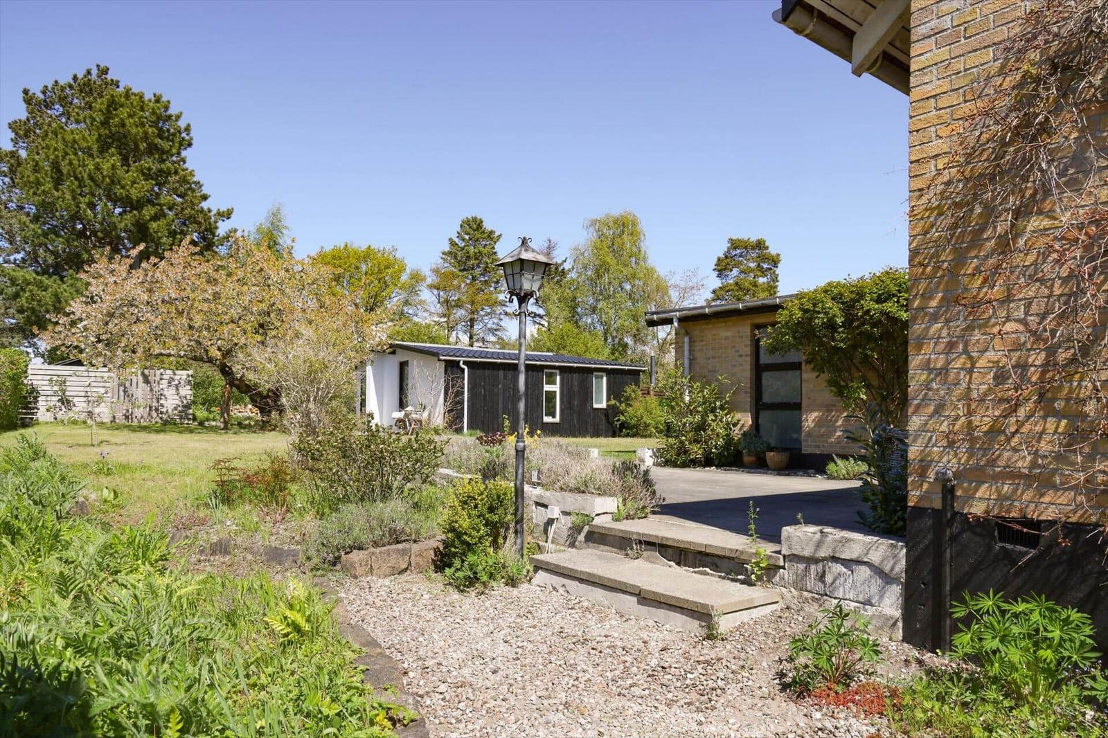 House with garden, terrace, and plants. View of modern architecture and greenery.