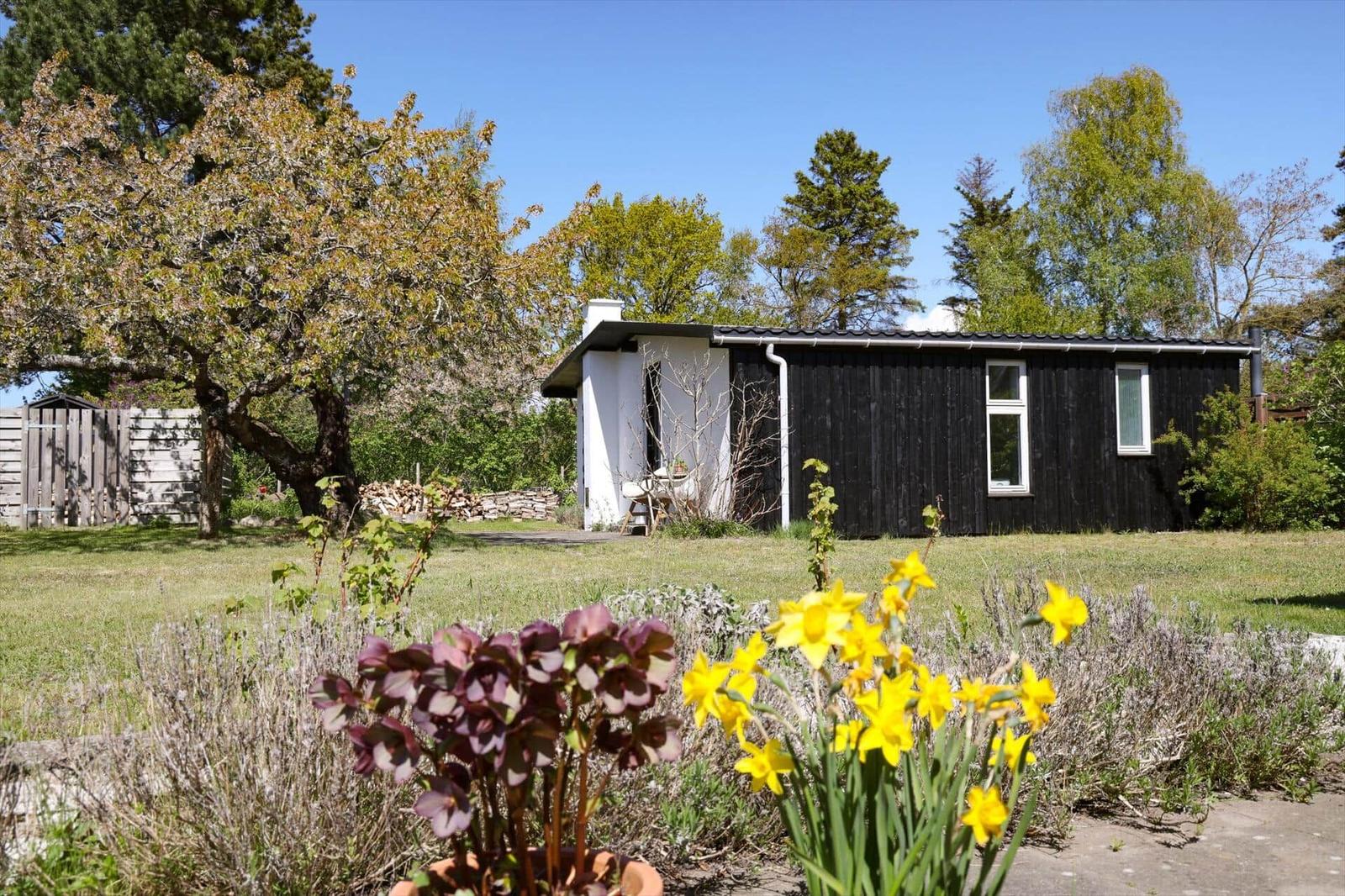 A small house with black siding and white extension stands on a green lawn. Yellow daffodils bloom in the foreground.