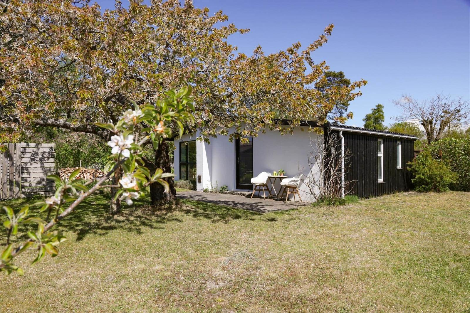 House with terrace under blooming tree. Lawn and wooden house with windows.