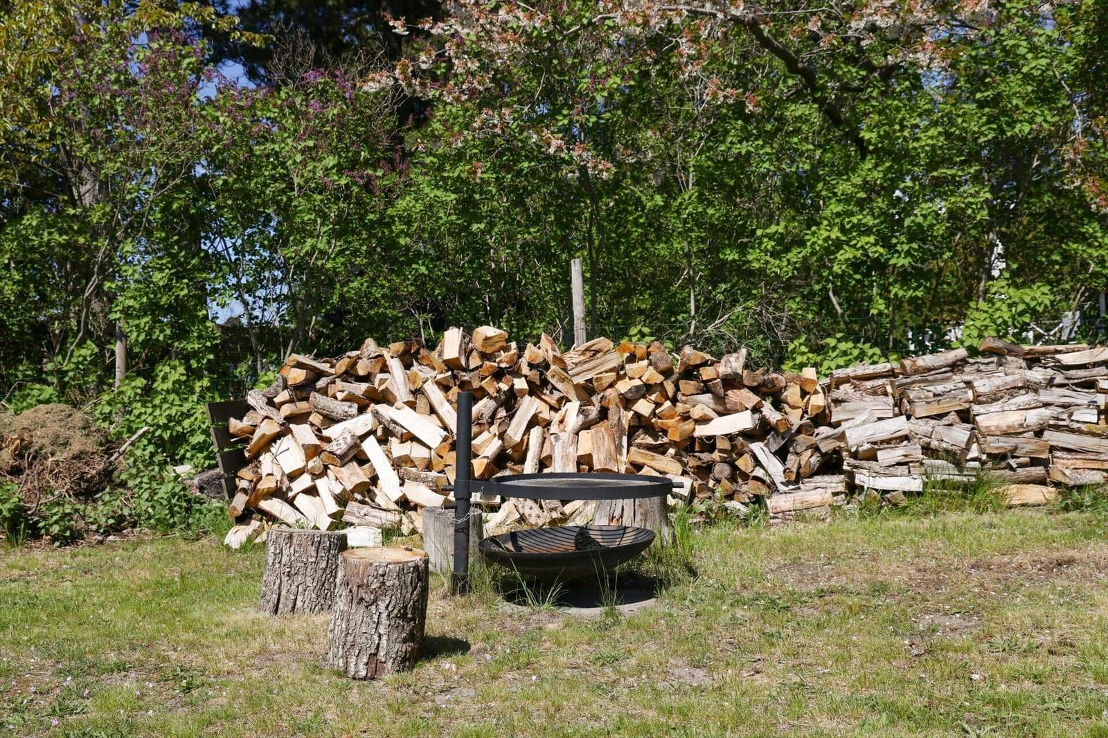 Fire pit with woodpile in garden
