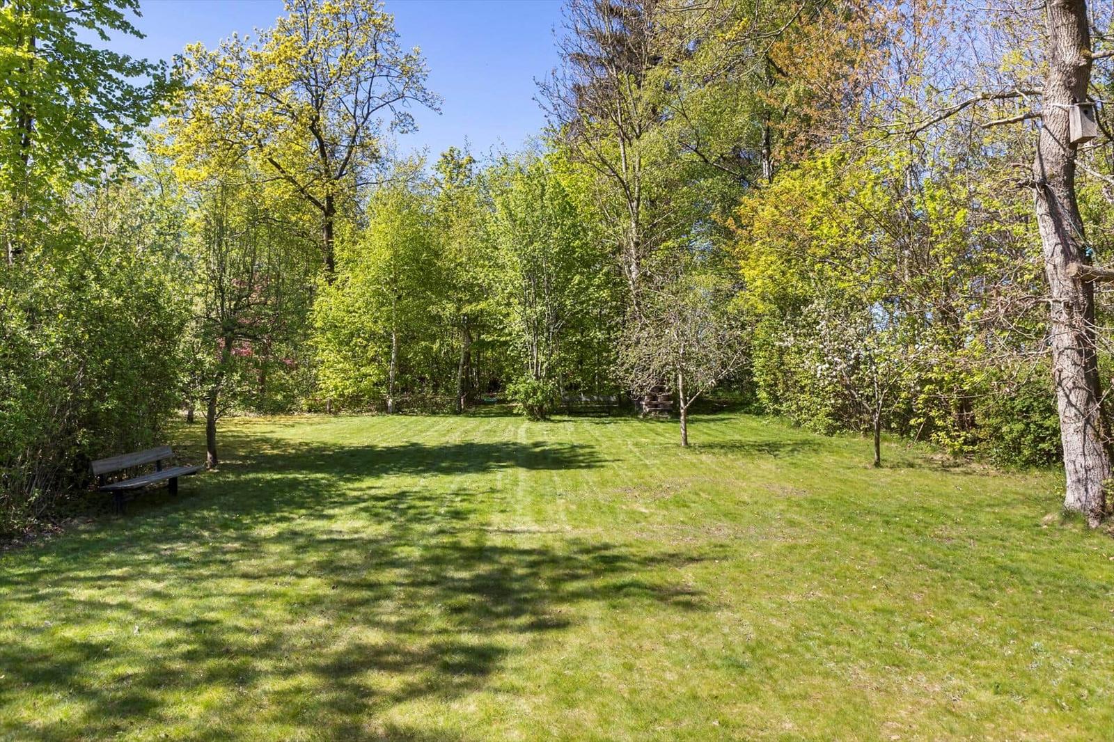 Green lawn area with trees and a bench outdoors.
