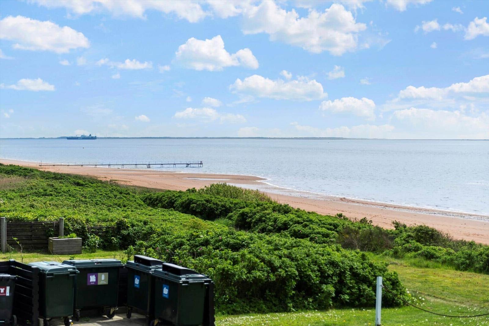 Strand mit grüner Vegetation und einem Pier. Ein Schiff ist im Hintergrund sichtbar.
