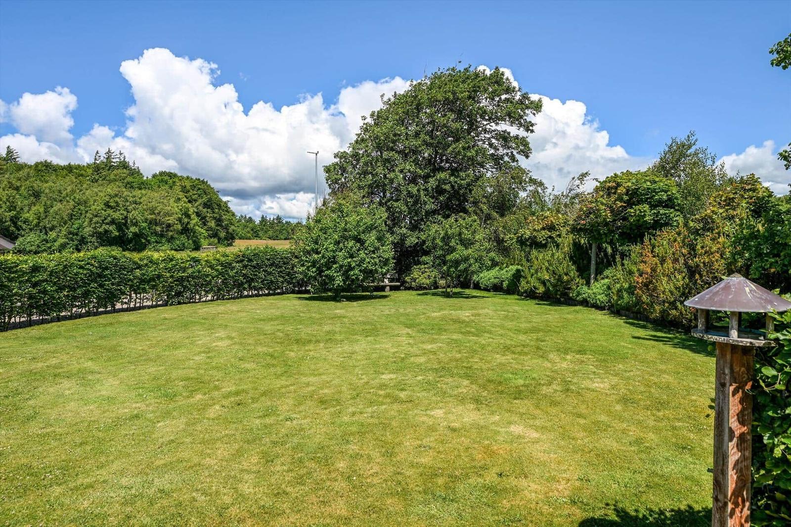 Large green lawn area with trees and shrubs. A birdhouse stands in the foreground.