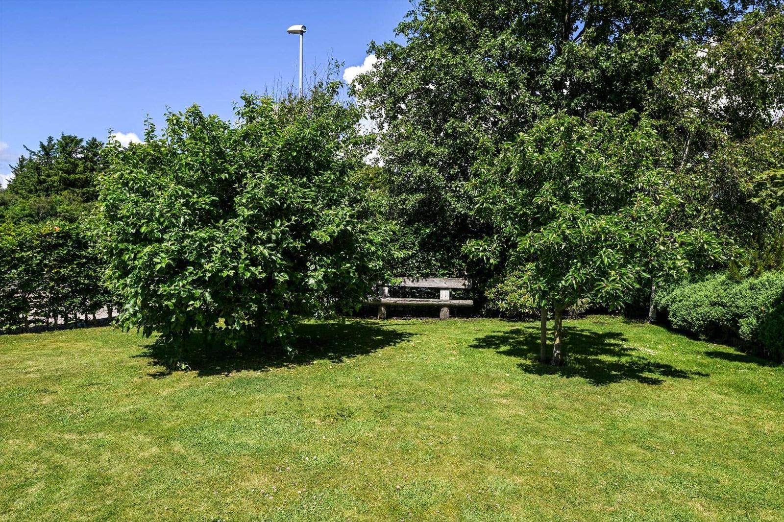Green lawn area with benches and trees under blue sky.