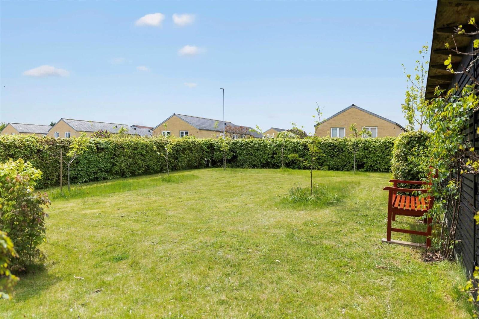 Backyard with lawn, hedge fence, and red garden bench.