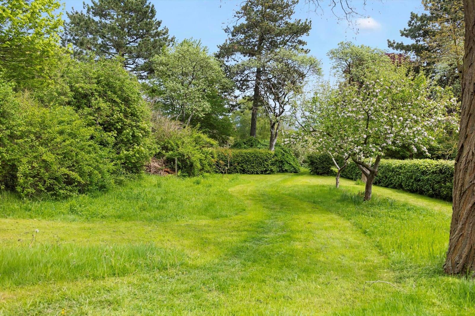 Green grass path through a wooded garden with blooming trees and hedges.