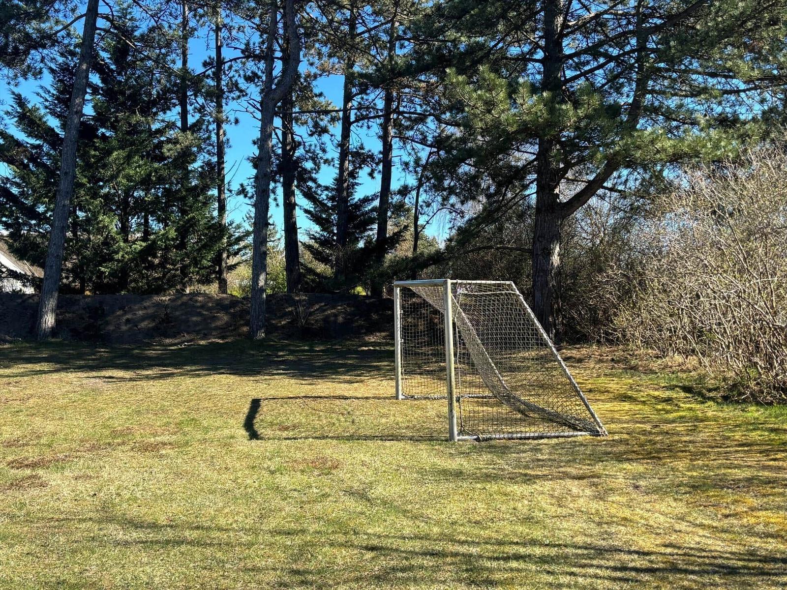 Fussballtor auf einer grünen Wiese zwischen Bäumen