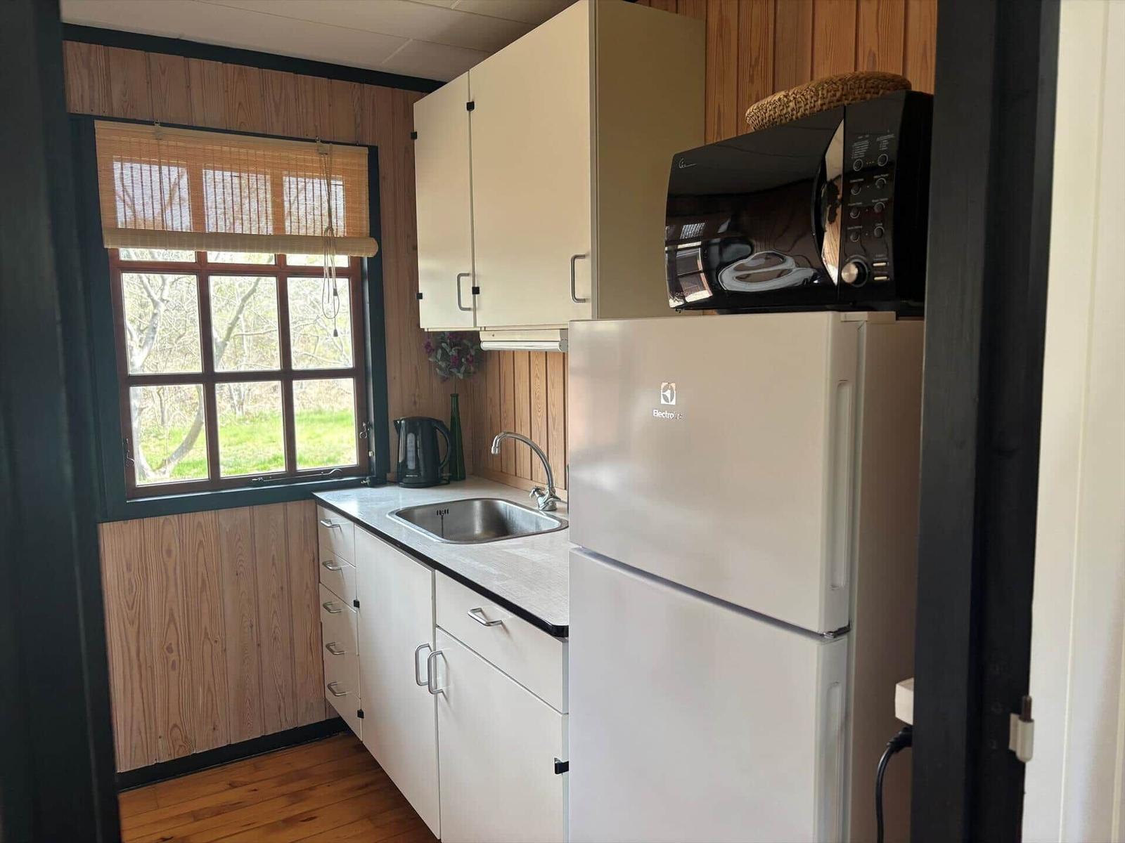 Küche mit Kühlschrank, Mikrowelle, Spüle und Fenster mit Blick auf Grünfläche.