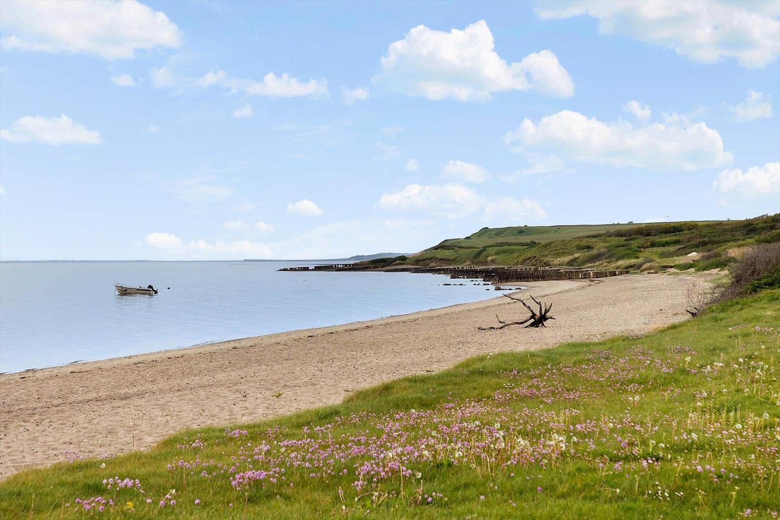 Beach with boat, grassy areas, and blue sky
