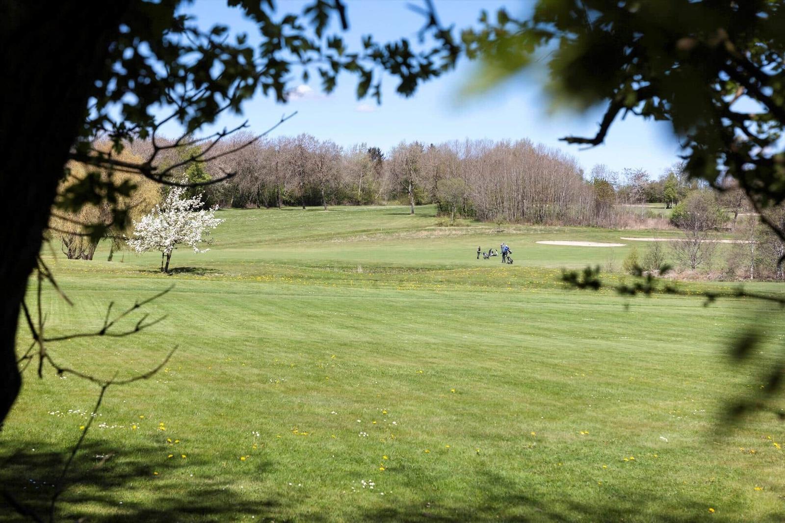 Golfplatz mit grünem Rasen, Bäumen und einem sandigen Bereich. Personen sind im Hintergrund sichtbar.