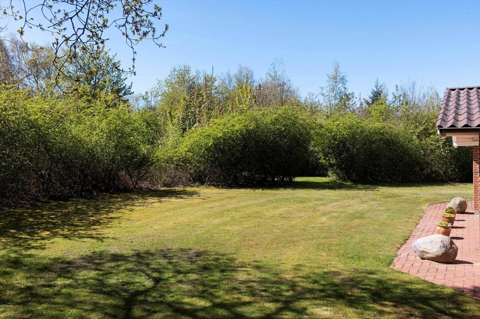 Grüner Garten mit Rasenfläche, Hecken und Steinweg neben Haus