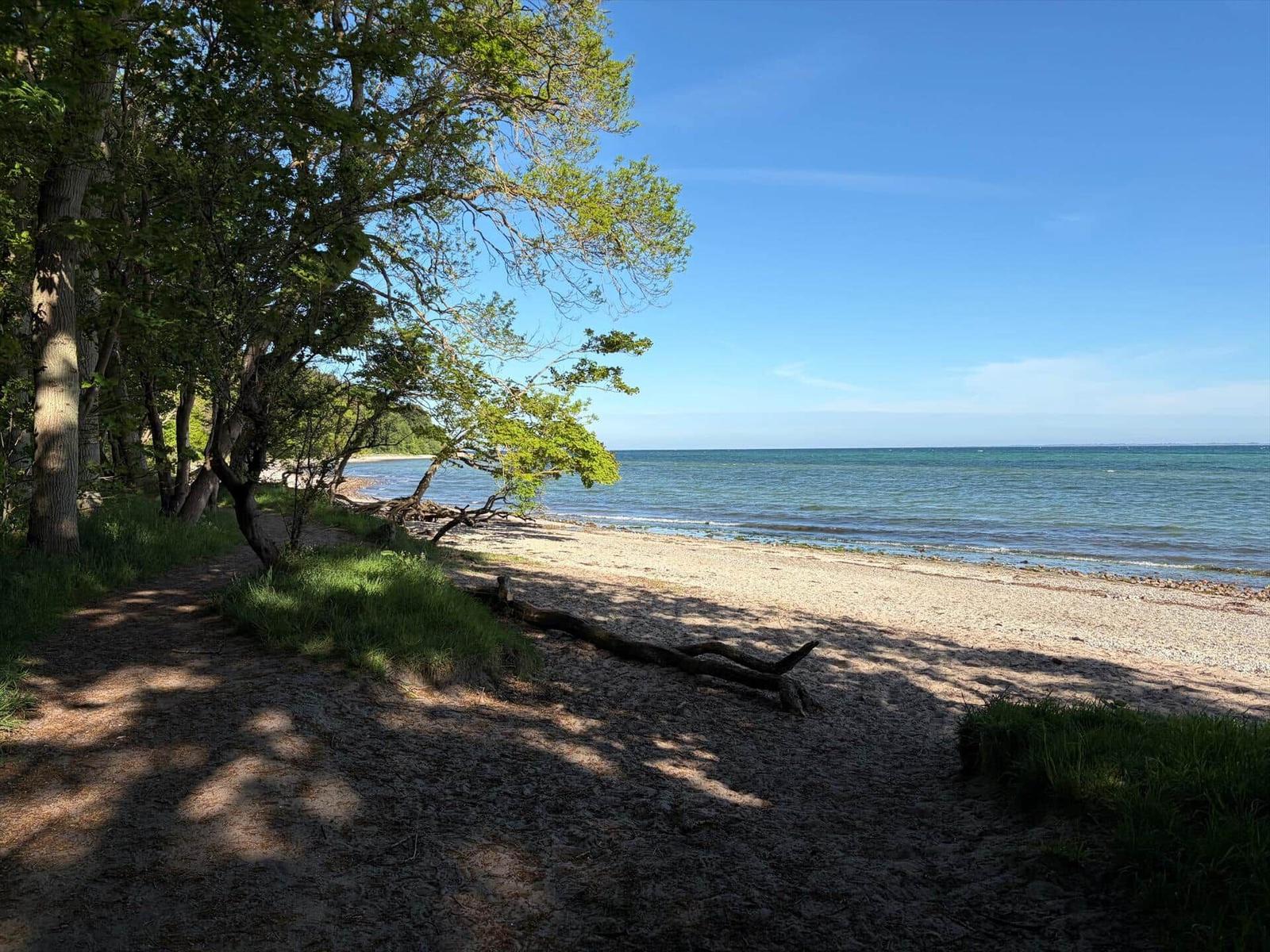Waldweg führt zum Strand mit Blick auf das Meer unter blauem Himmel.