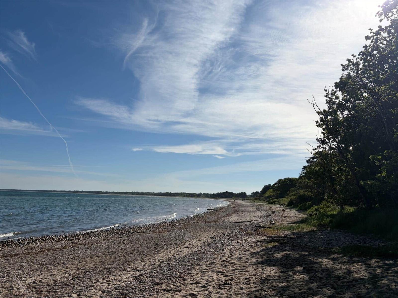 Strand mit Steinen und Bäumen am Wasser unter blauem Himmel mit weißen Wolken.
