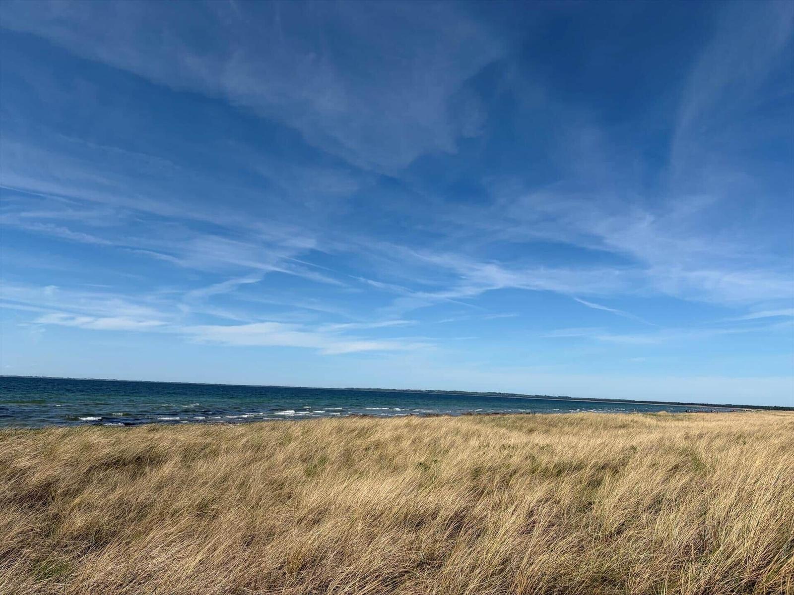 Strand mit goldenem Gras und blauem Himmel mit weißen Wolken.