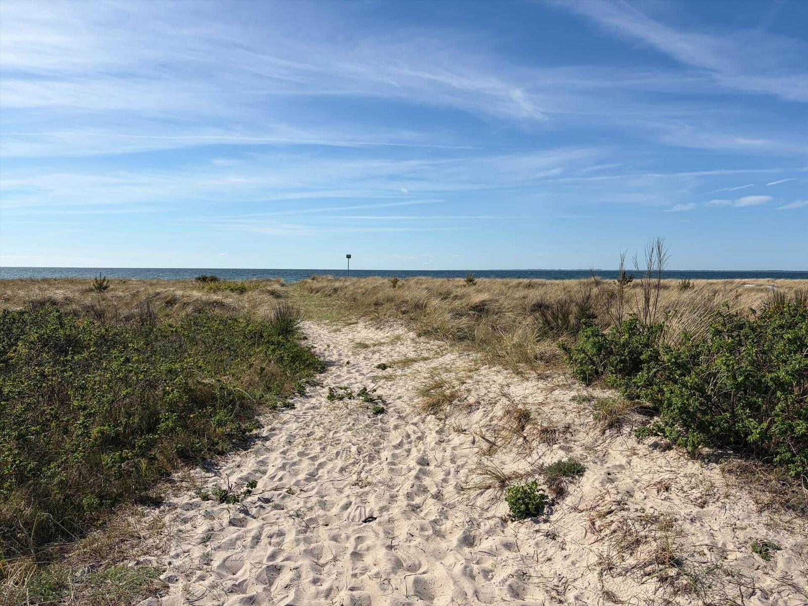 Sandweg durch Dünen zur Ostsee unter blauem Himmel