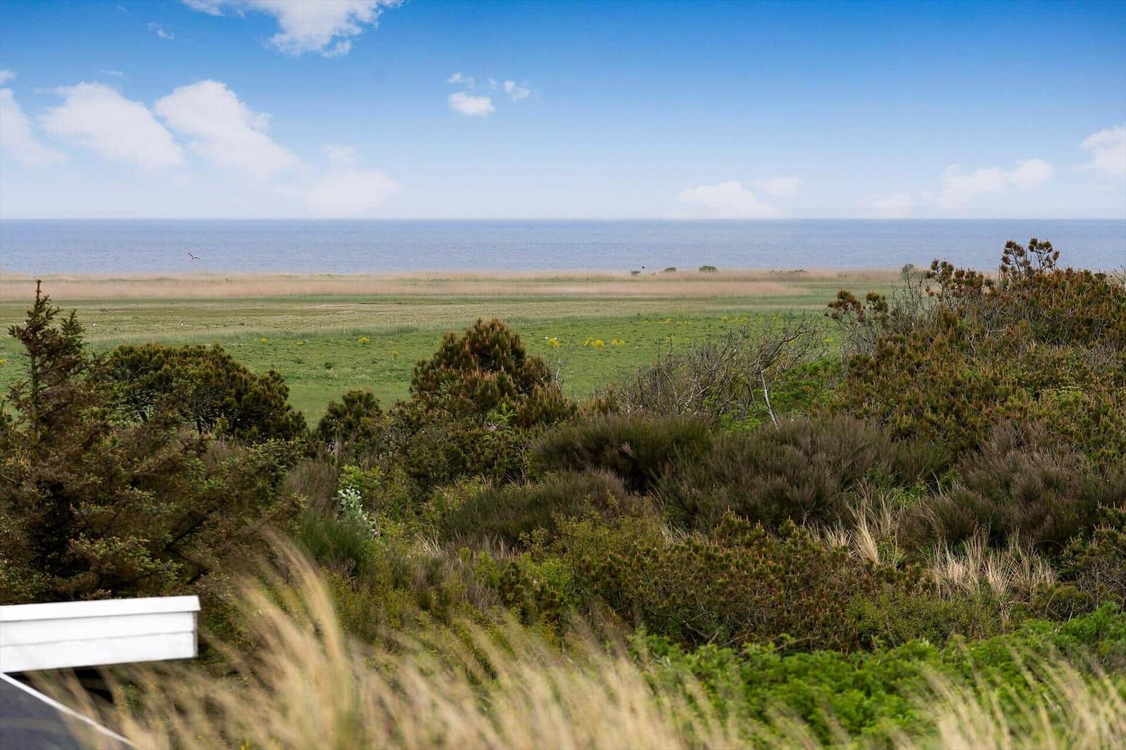 Weitläufiger Blick auf das Meer mit Grasland und Sträuchern im Vordergrund.