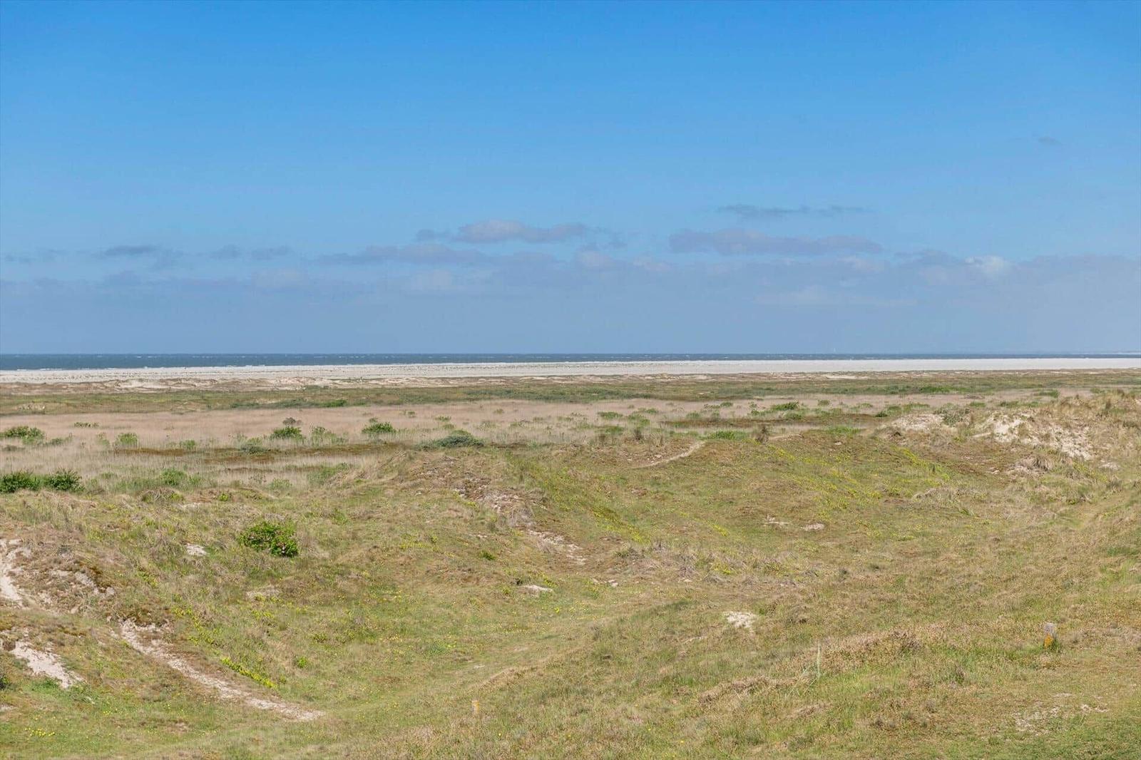 Weitläufige Dünenlandschaft mit Blick auf das Meer unter blauem Himmel.