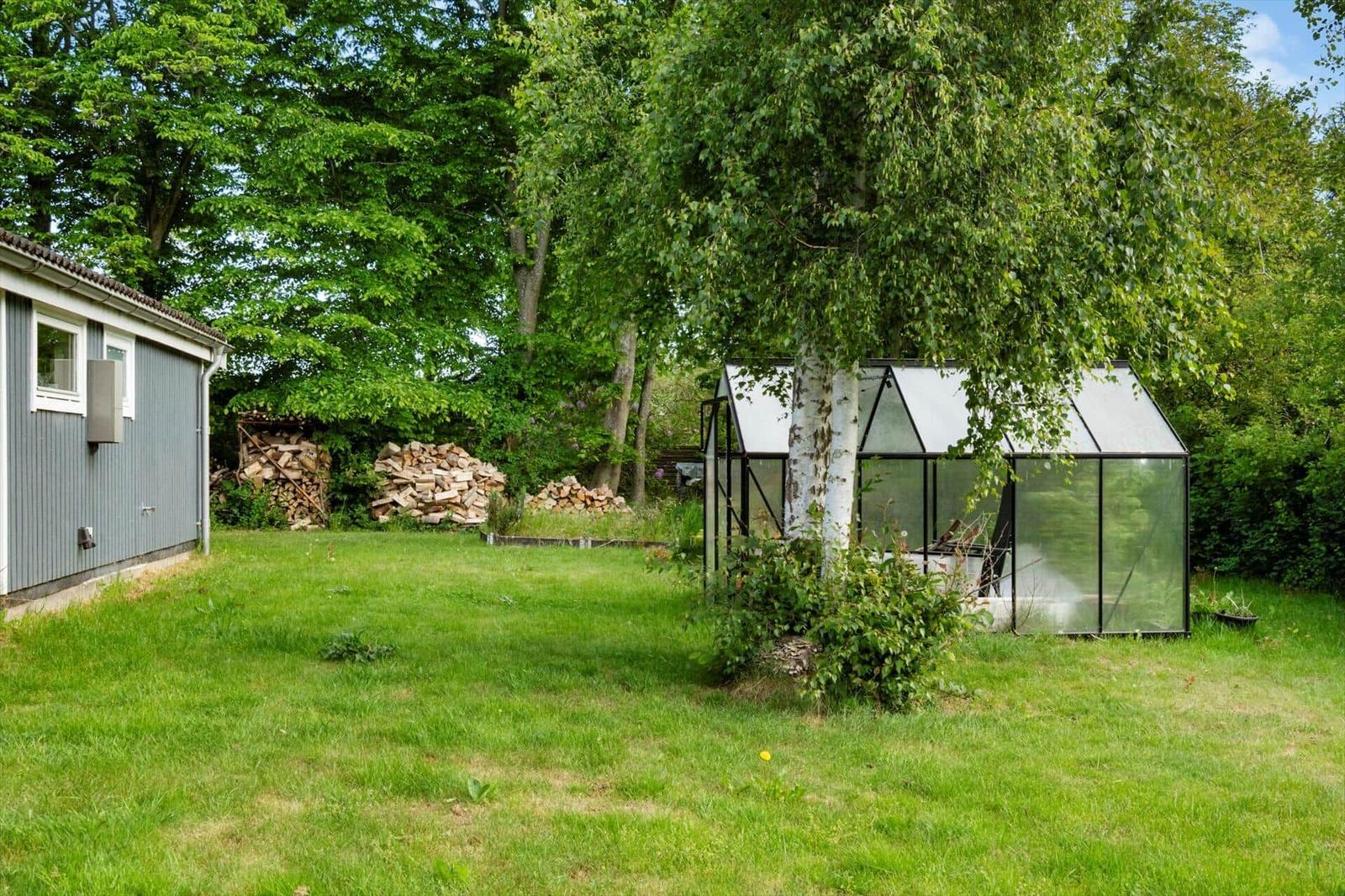 Hinterhof mit Glas-Gewächshaus, Holzstapel und grünem Rasen unter Bäumen.