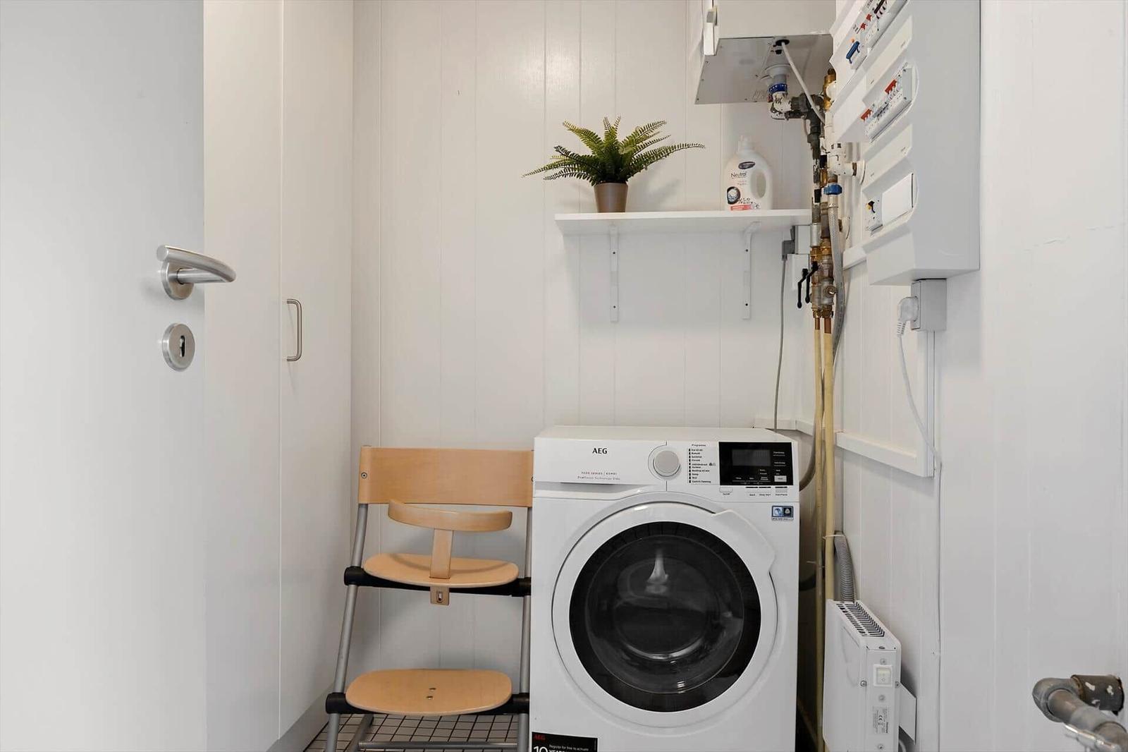 Washing machine in a room with chair and plant on the wall.