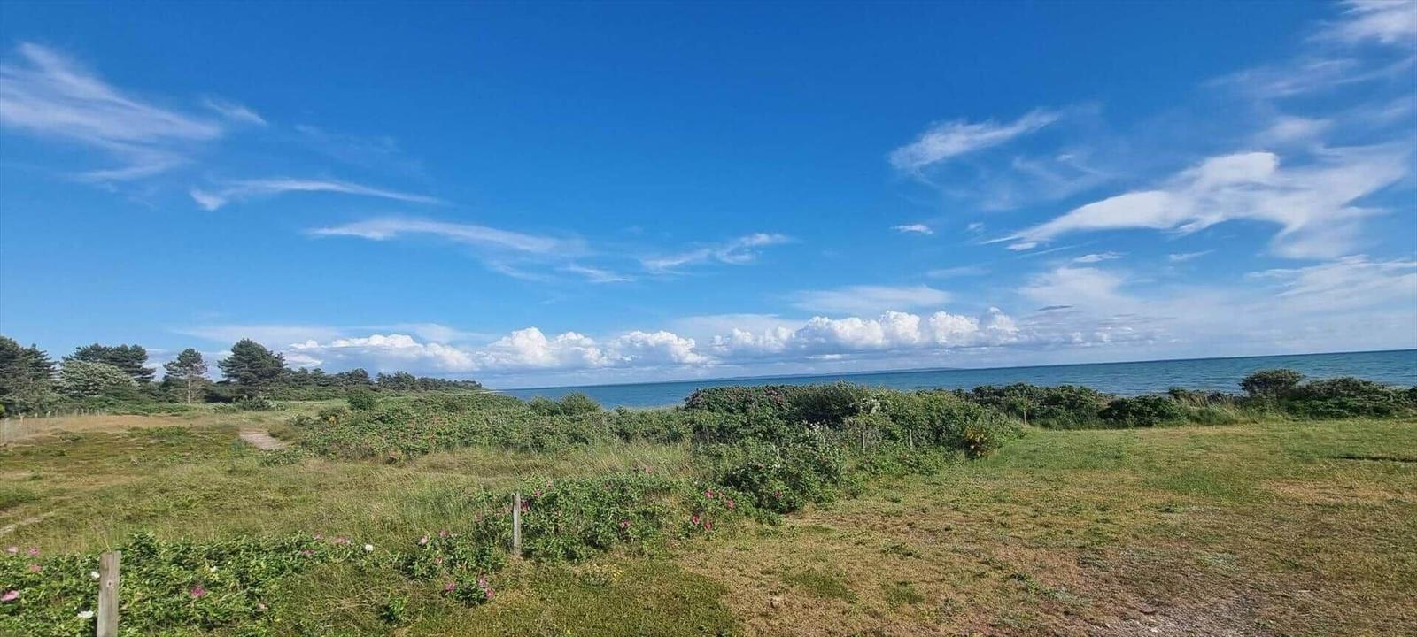 Grünes Feld mit Pflanzen und einem Blick auf das Meer unter blauem Himmel.