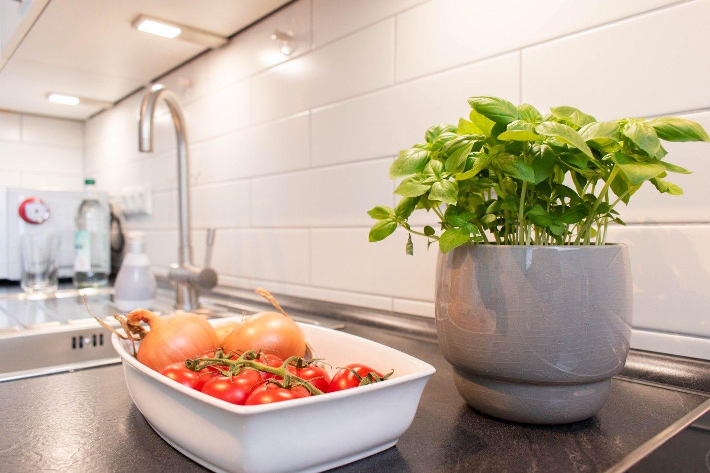 Küche mit Basilikum, Tomaten und Zwiebeln auf Arbeitsfläche