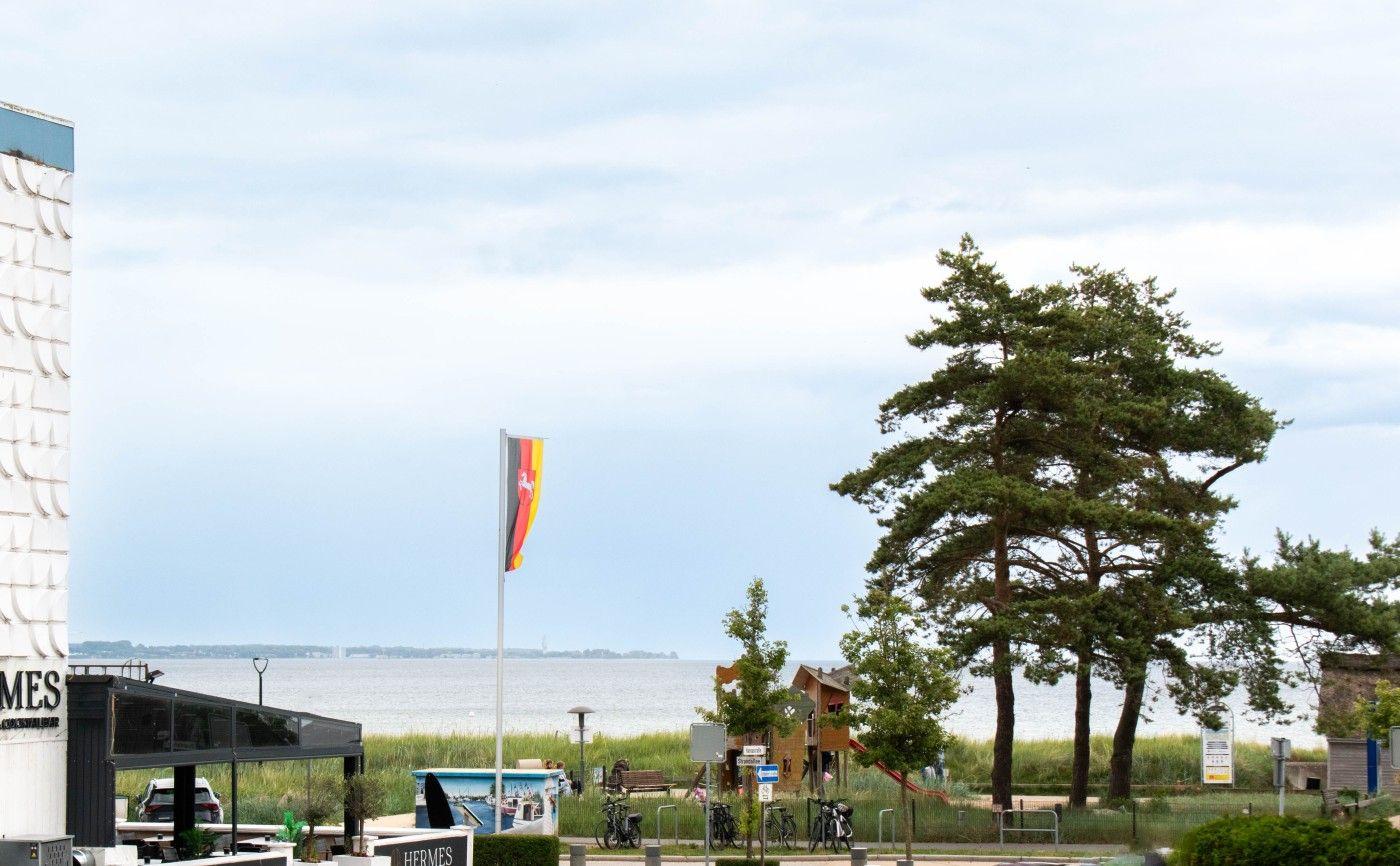 Wasserufer mit Baumreihe und Flagge im Hintergrund