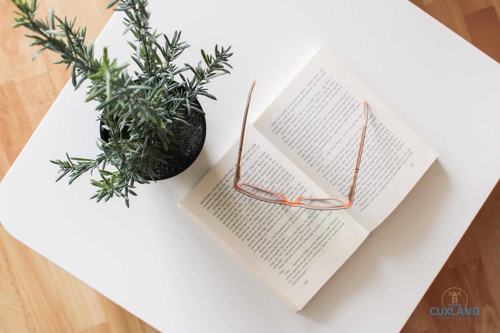 Ein offenes Buch mit Brille und Pflanze auf weißem Tisch.