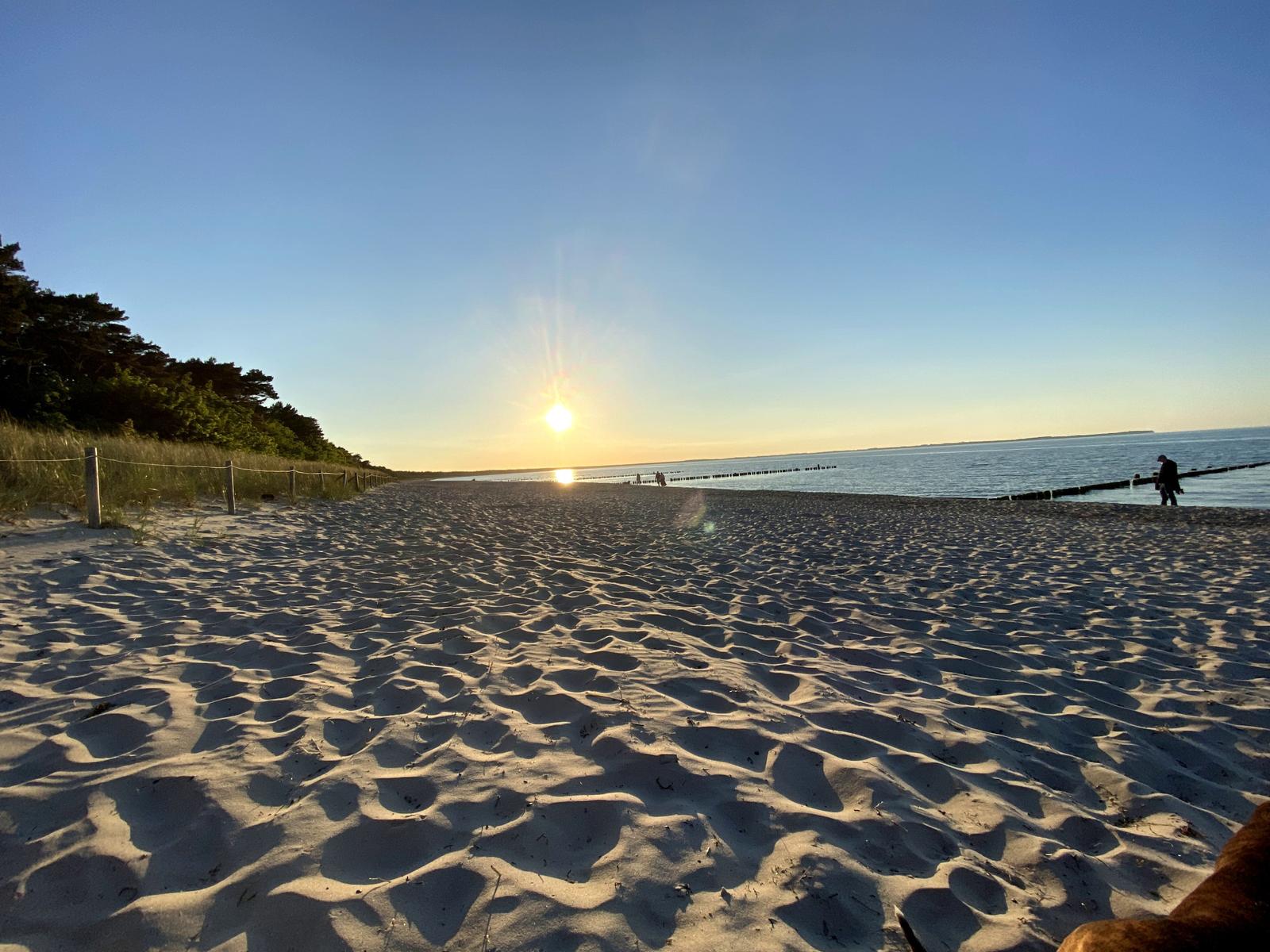 Strand mit Sandwellen, Sonne am Horizont und Bäume links