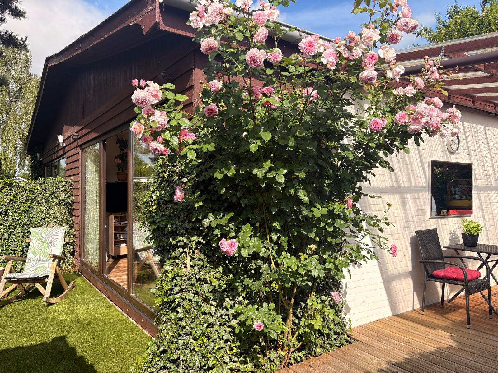 Haus mit Rosenhecke, Terrasse und Sitzgelegenheiten im Garten.