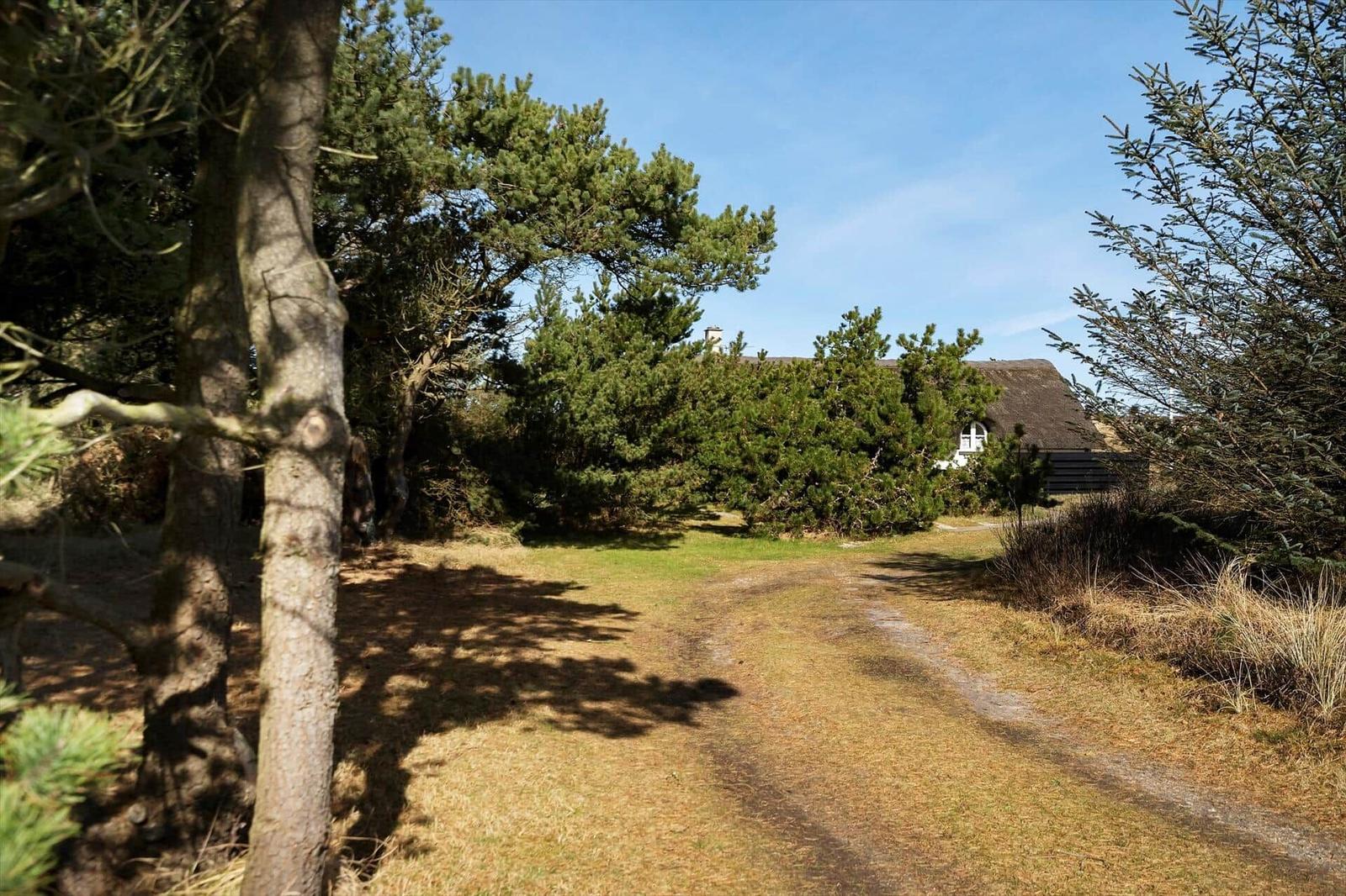 Weg durch Bäume zu einem Haus mit Schindeldach
