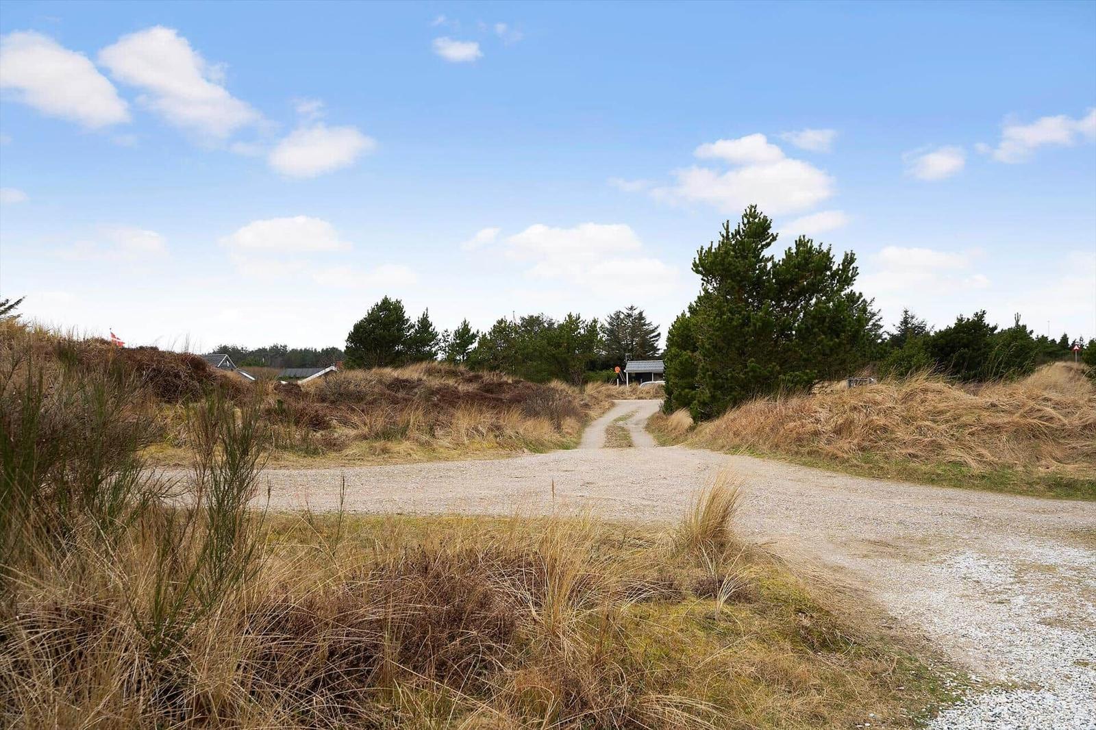 Eine unbefestigte Straße führt durch eine grasbewachsene Landschaft mit Bäumen und einem Haus im Hintergrund.
