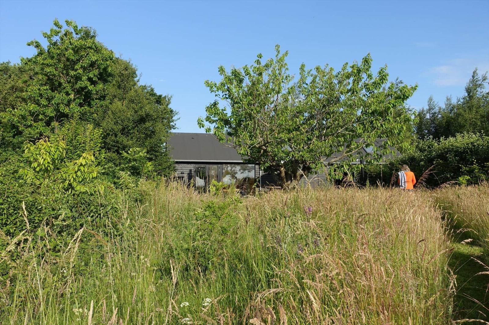 Haus mit großem Garten und Bäumen unter blauem Himmel