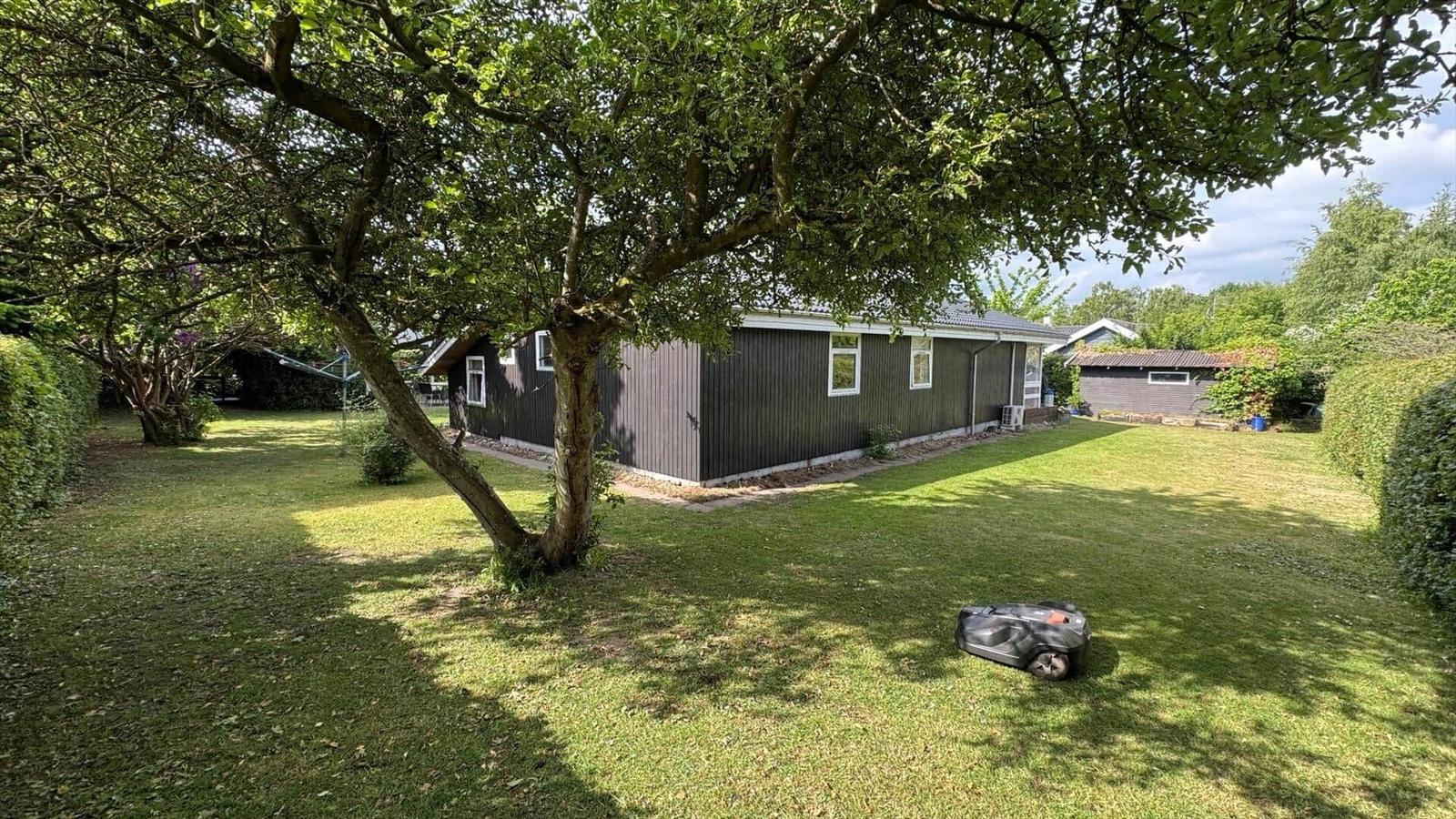 Ein Haus mit Garten, Baum und Rasenmäher. Der Garten ist grün und gepflegt.