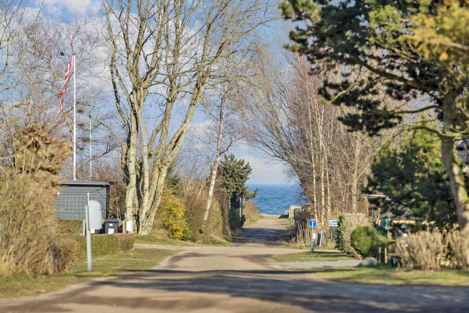 Durch einen Waldweg zur Küste, mit Flagge und Blick auf das Meer.