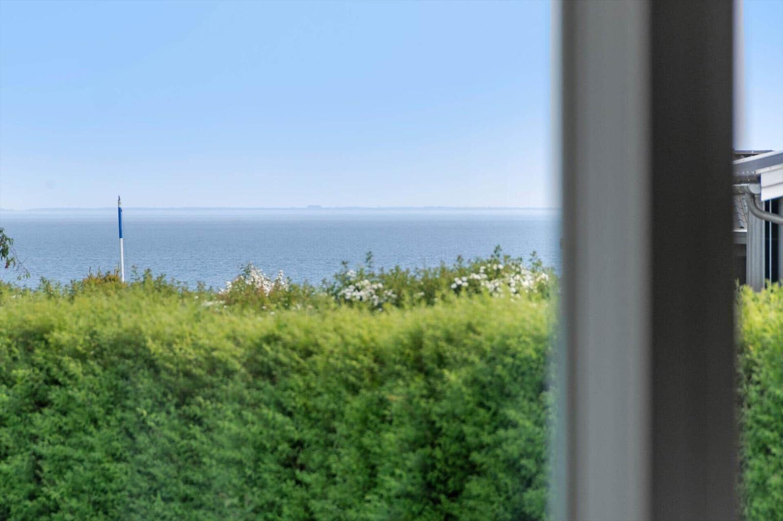 Aus dem Fenster blickt man auf das Meer und grüne Sträucher.