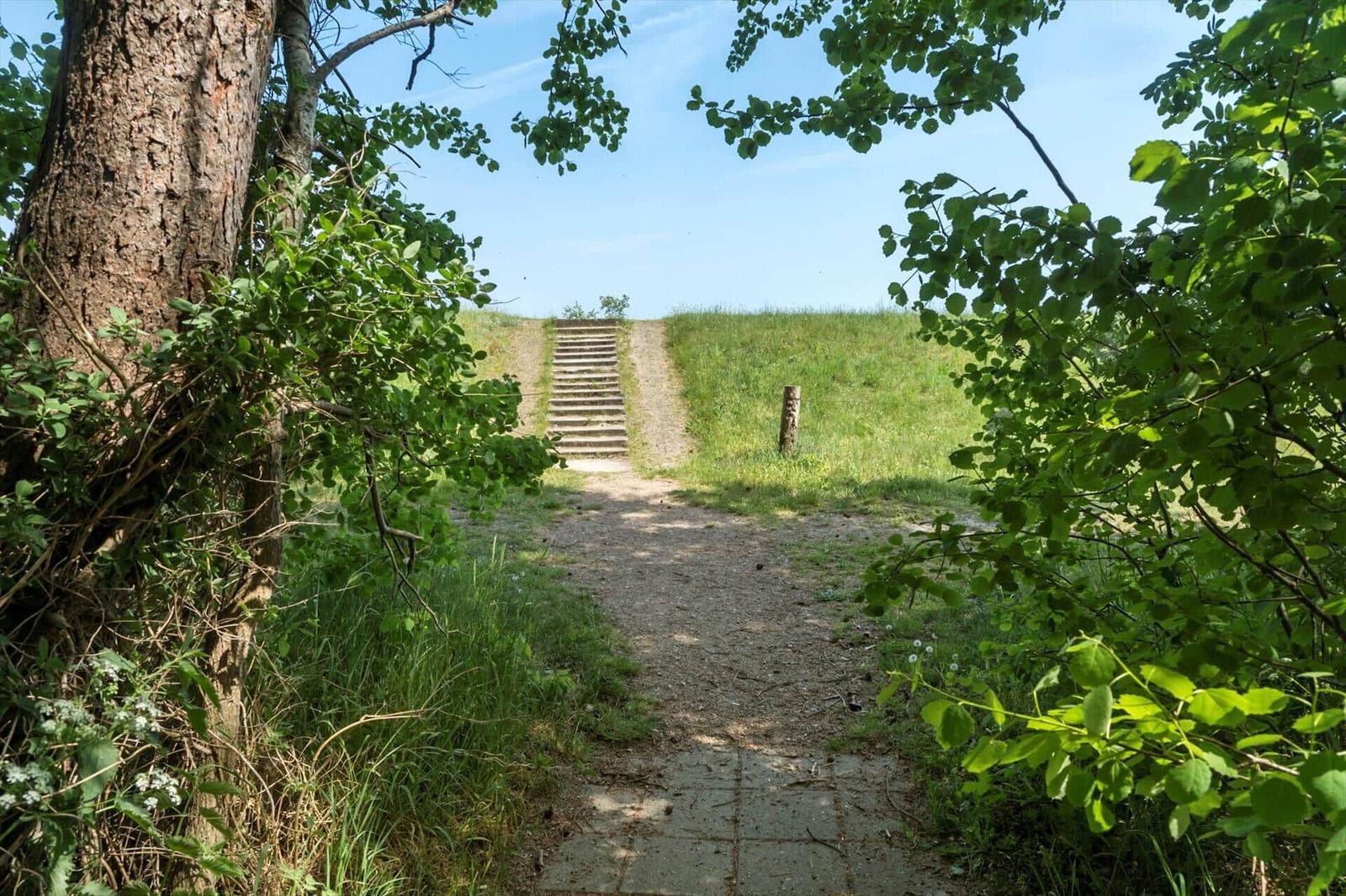 Weg durch Grünflächen mit Stufen zur Anhöhe. Blick durch Bäume und Sträucher.